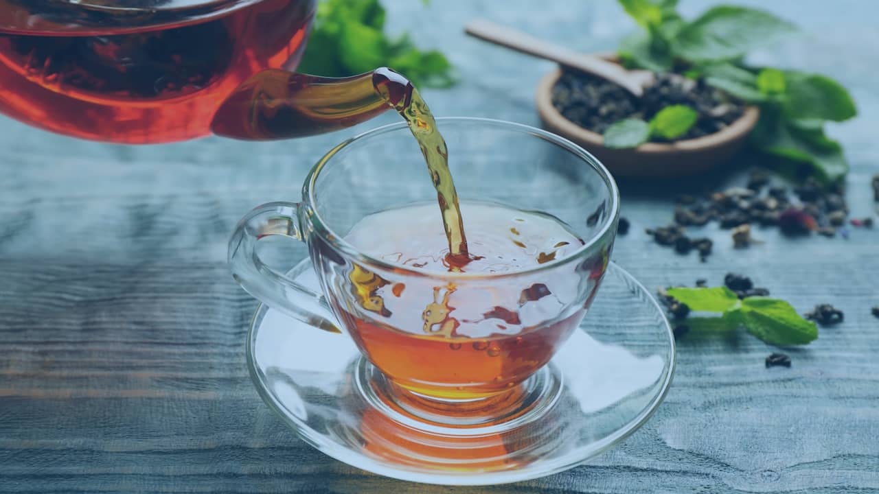 Infusion Thé Et Tisane Quelles Différences 