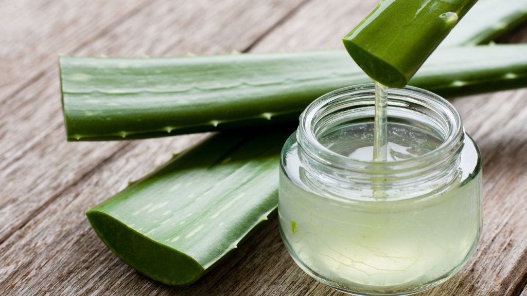 bienfaits aloe vera