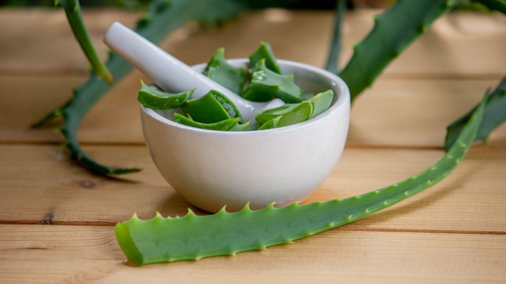 les bienfaits aloe vera